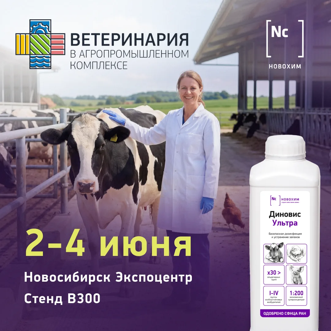 🐮 Мчим на еще одну выставку — теперь к ветеринарам