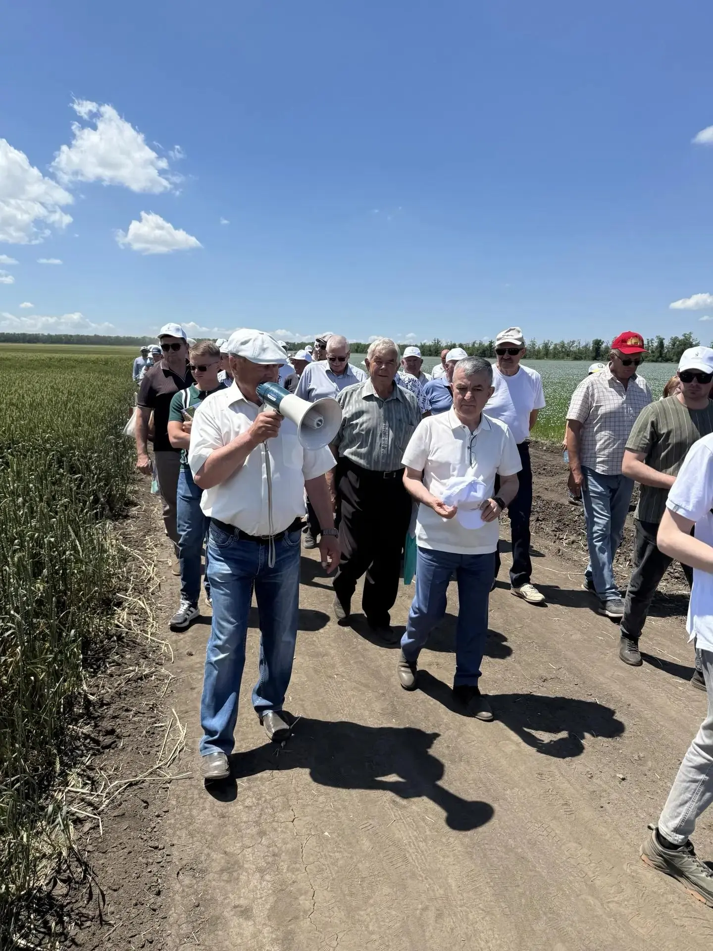 🌱 Представители ВНИИ кукурузы приняли участие в международной конференции «День поля – 2026», орган