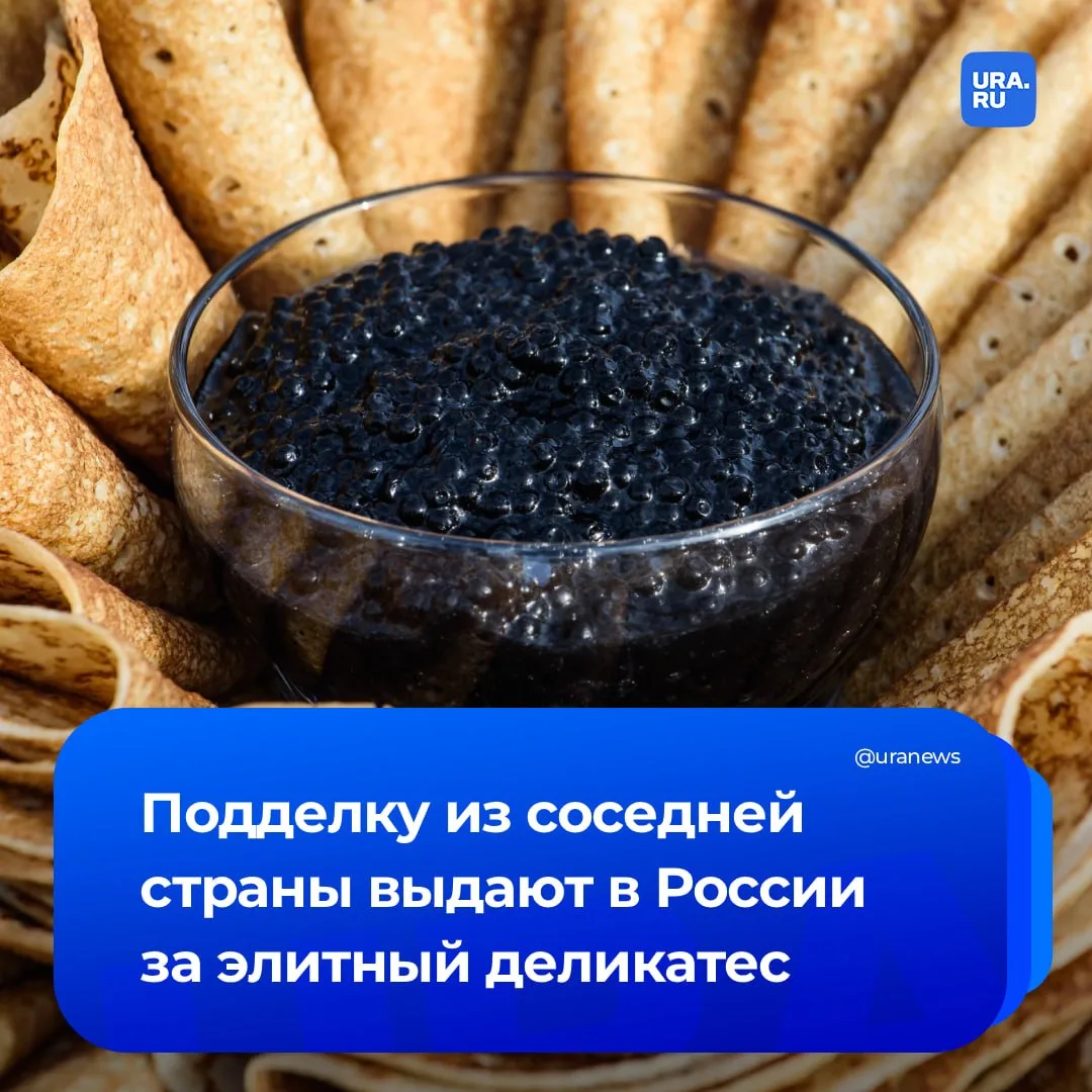Треть черной икры в России оказалась китайской