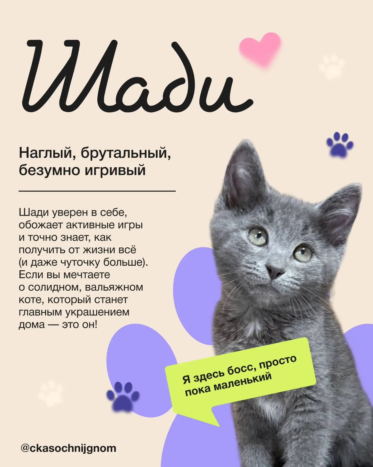 #помогаеминформационно
