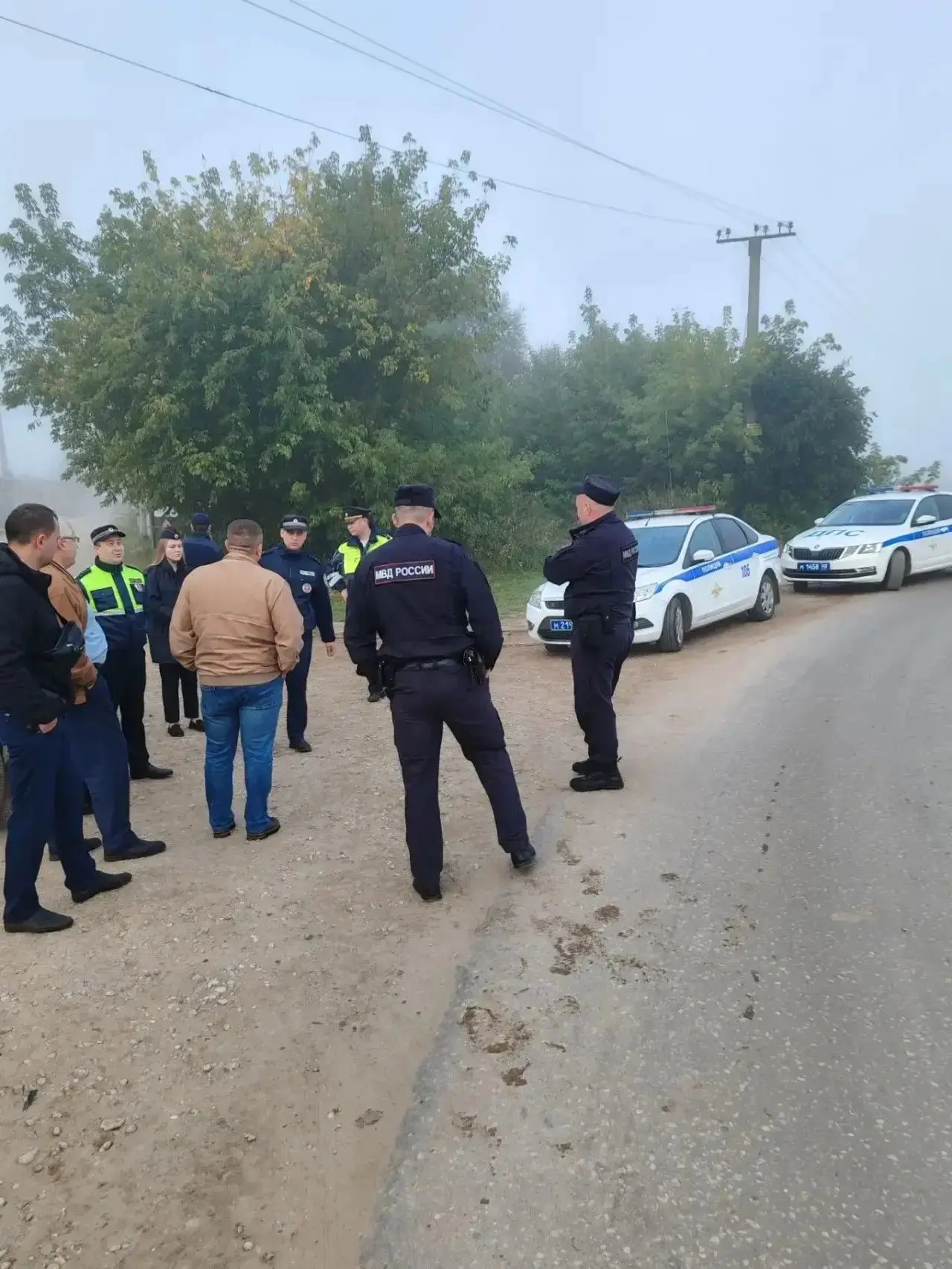 🐎В д. Тимошево прошел рейд по безнадзорному выгулу животных