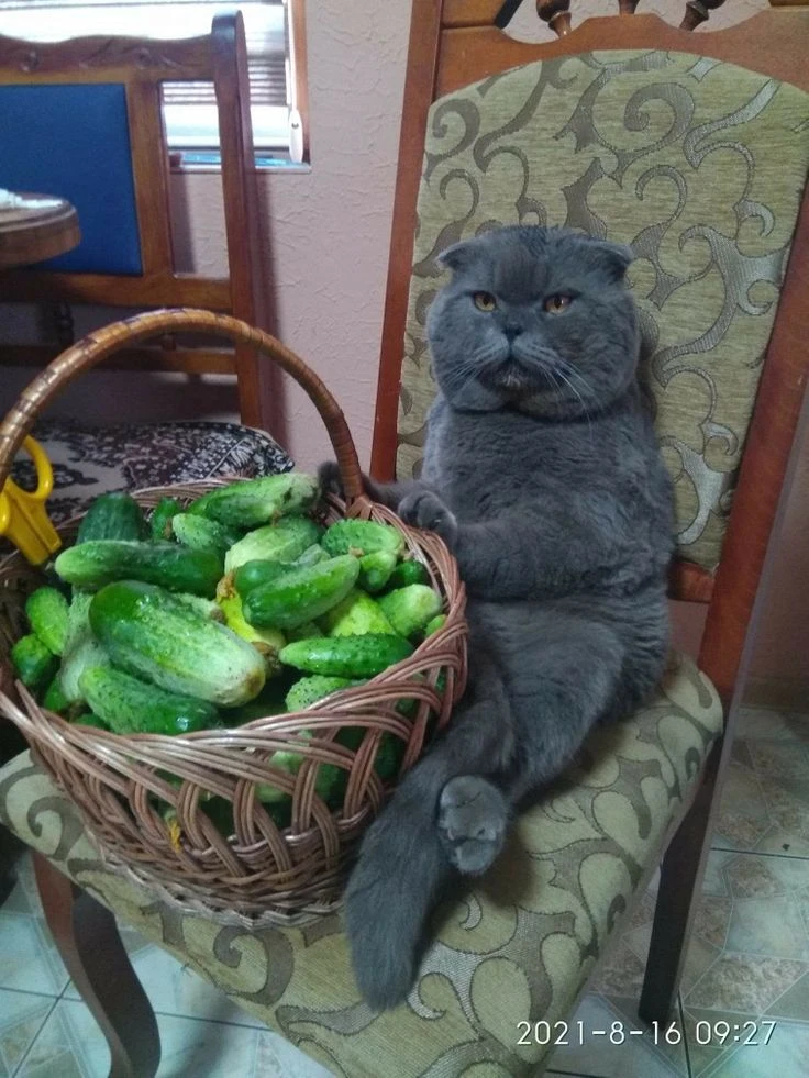 У - урожай и гордость