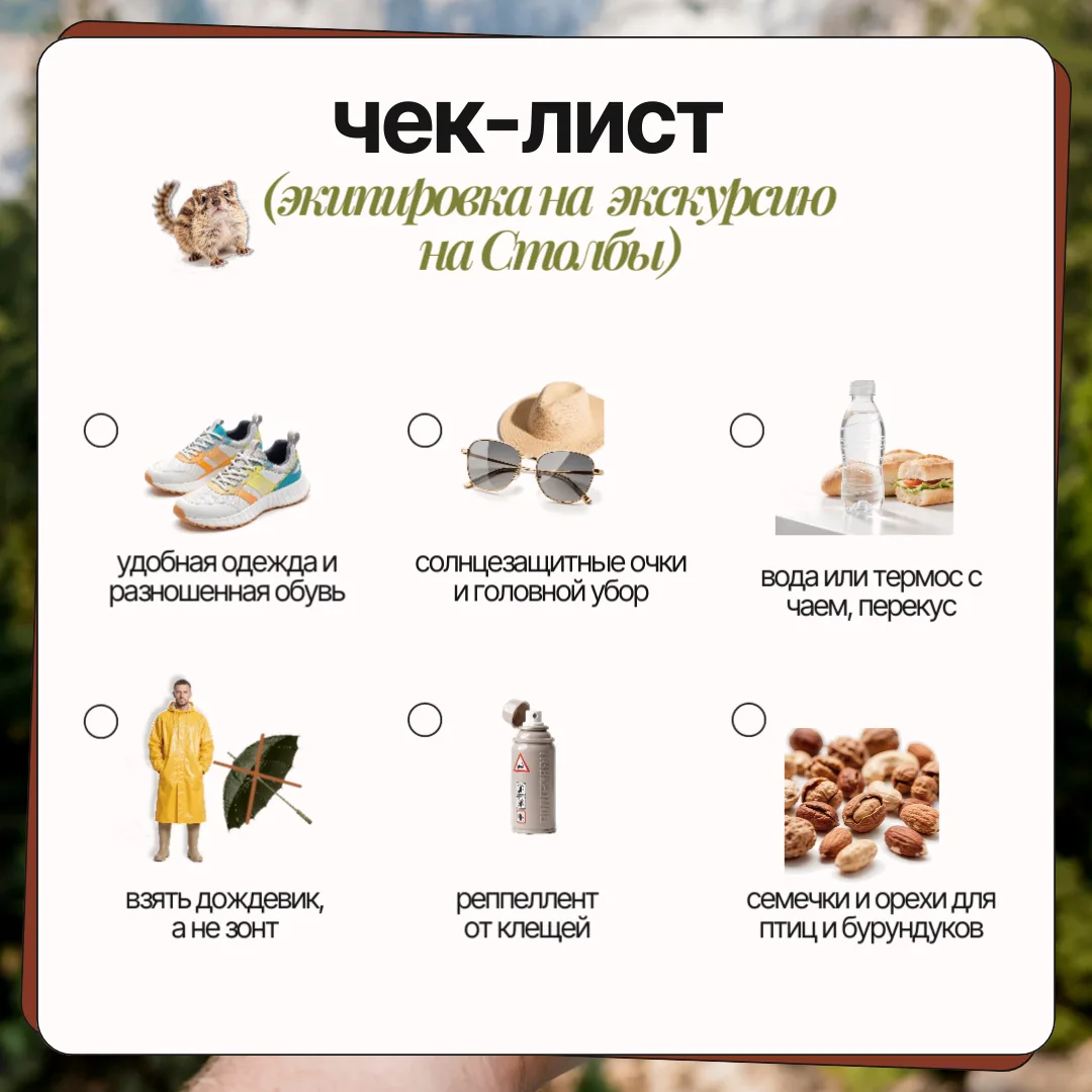 Чтобы экскурсии летом на природу (Столбы, Торгашинский хребет, Чёрную сопку, Голубку и ...