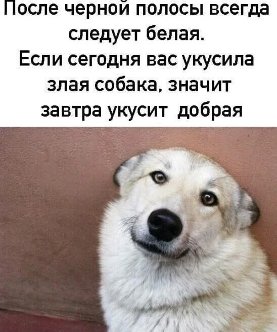 BigLoveMary