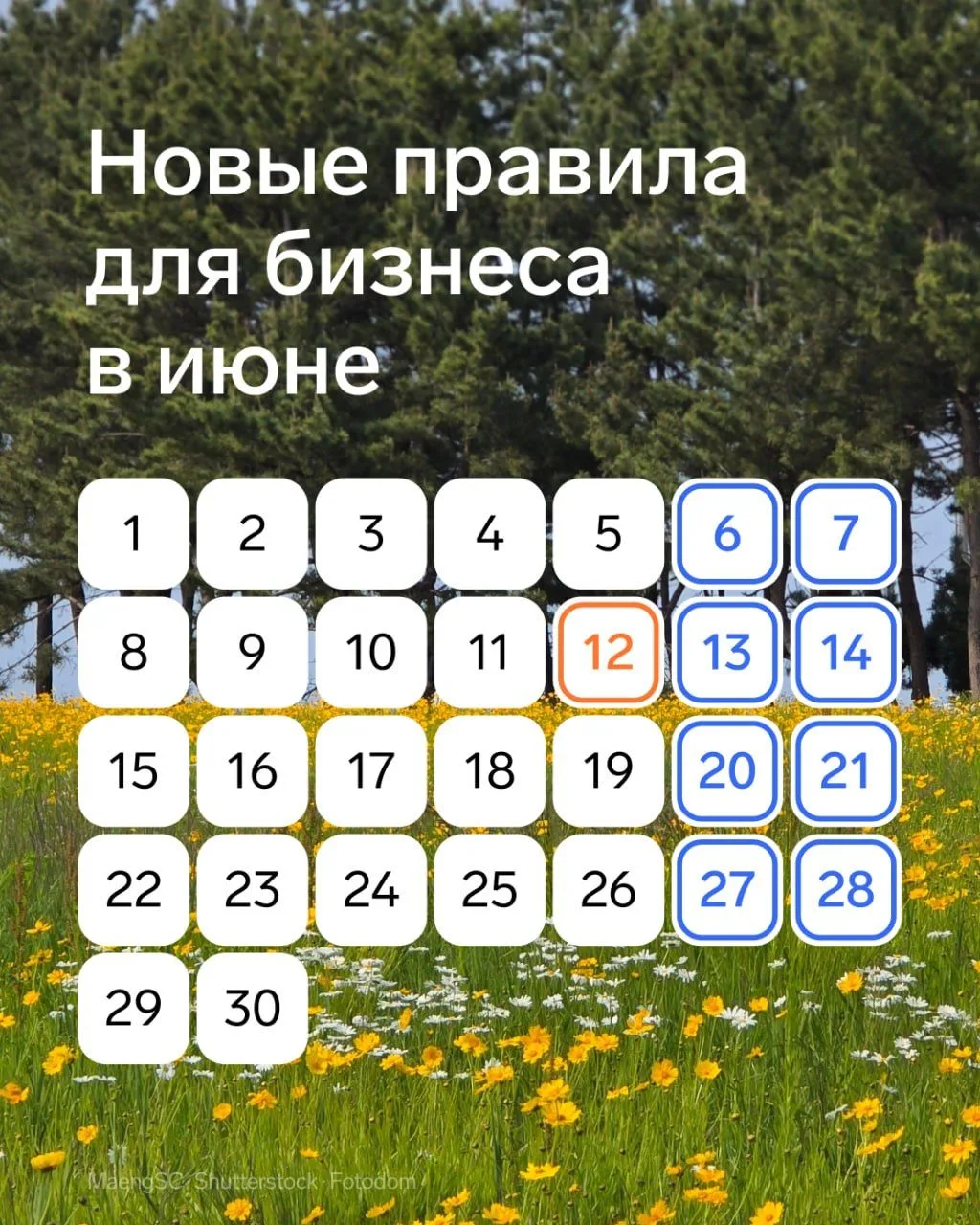 ⚡️ Важные изменения для бизнеса в июне