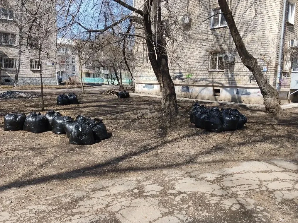 Даты общегородских субботников назначили в Хабаровске