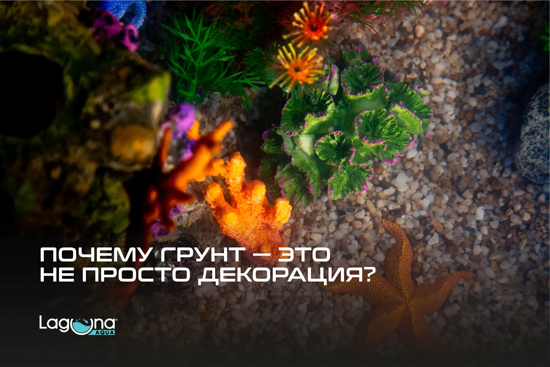 Фундамент вашего подводного мира: почему грунт — это больше, чем просто декорация?

Многие начинающи