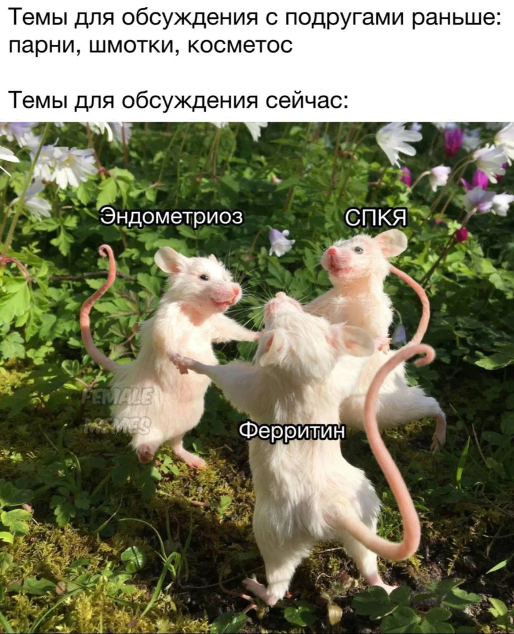 В научном мире существует две главные теории старения, и обе достойны нашего внимания.

🏛Почему мы 