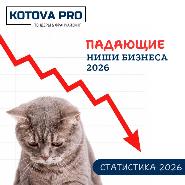 ПАДАЮЩИЕ НИШИ БИЗНЕСА В РФ 2026