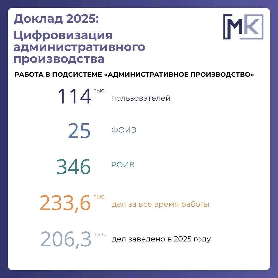 Доклад о госконтроле-2025