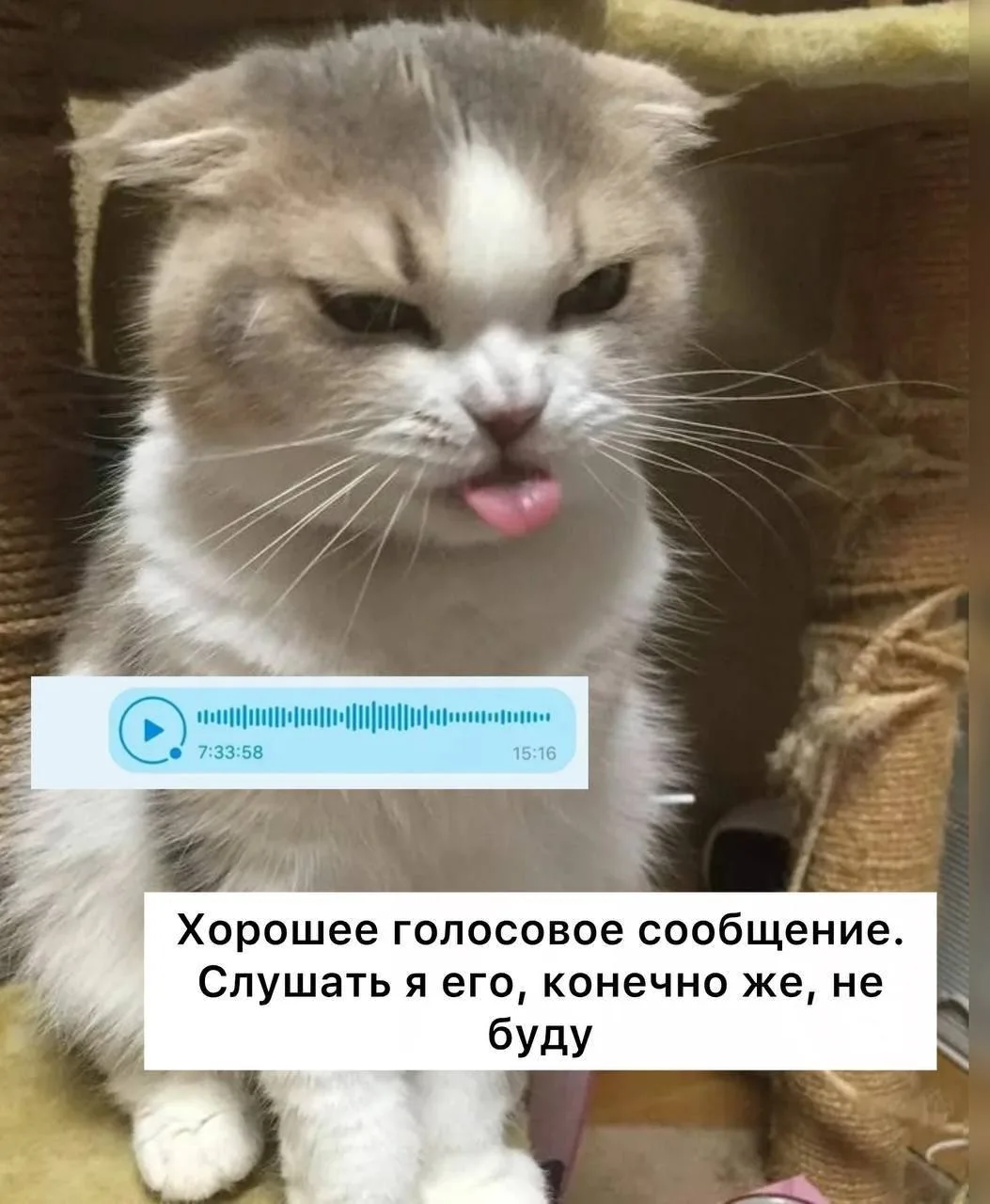 Голосовые сообщения снижают продуктивность сотрудников, — аналитики