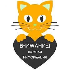 ✅Ищем владельцев разных чатов по Краснодарскому краю, для сотрудничества🤝