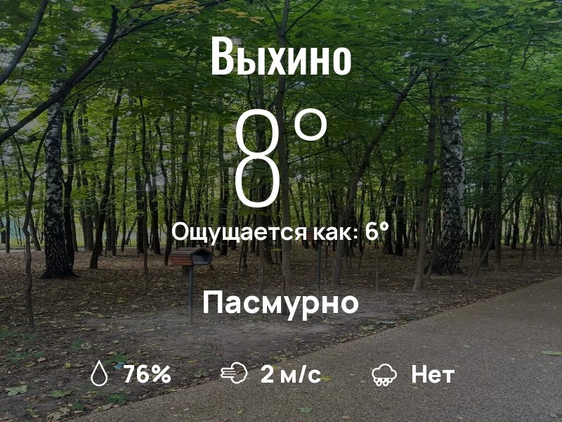 Что с погодой в Выхино?