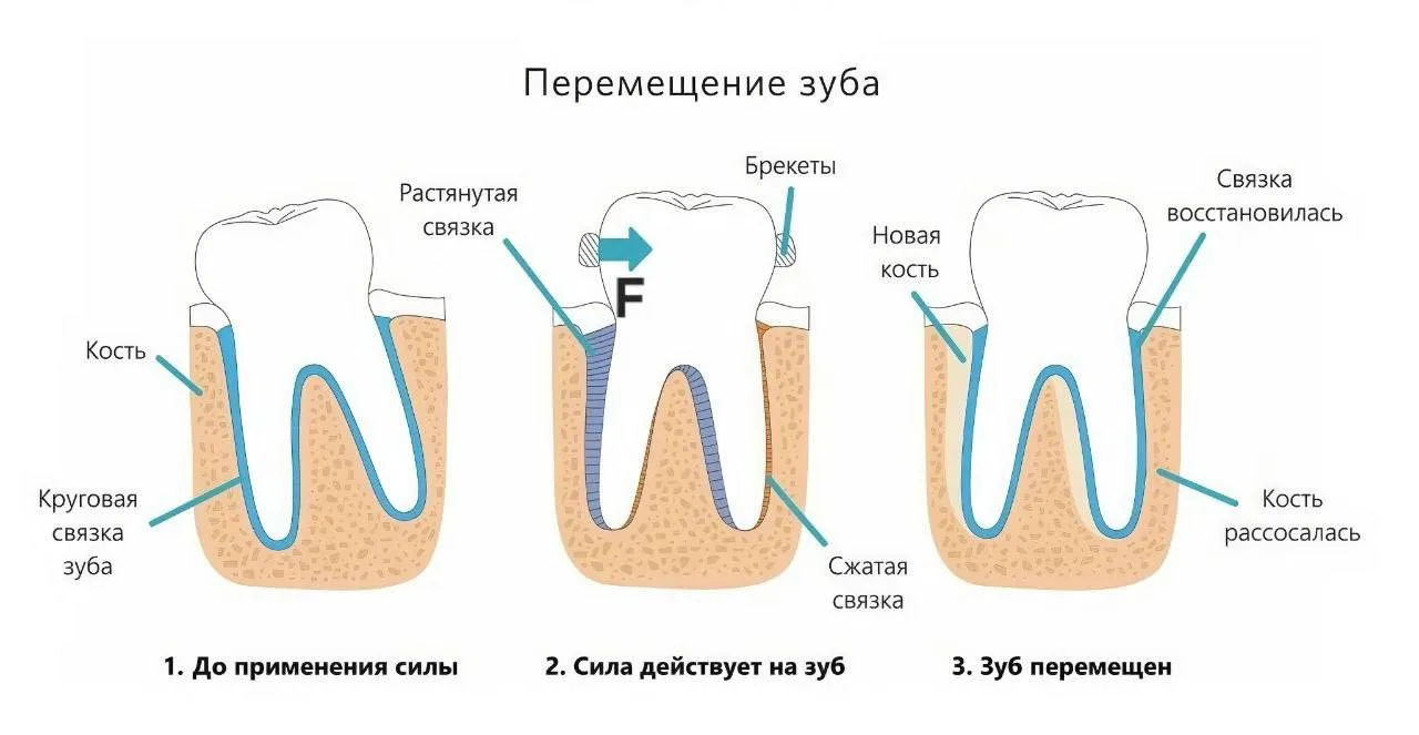 И все-таки они движутся)