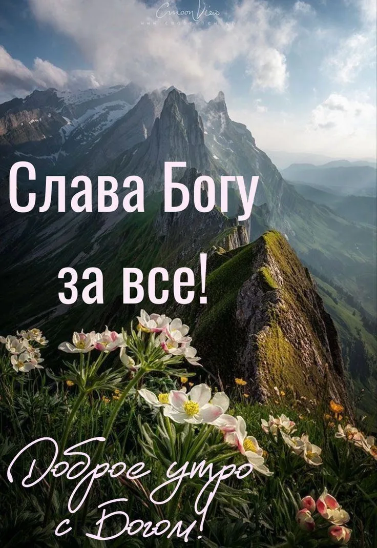 🙏Божьей помощи во всех ваших добрых делах! Храни Вас Господь!
