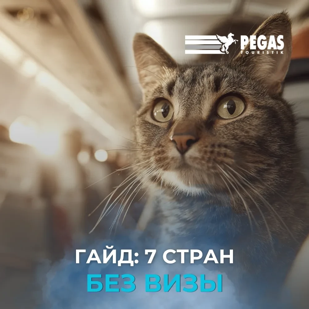 ✈️ Куда улететь без визы прямо сейчас?  Собрали для вас мини-гайд с 7 направлениями, которые открыты