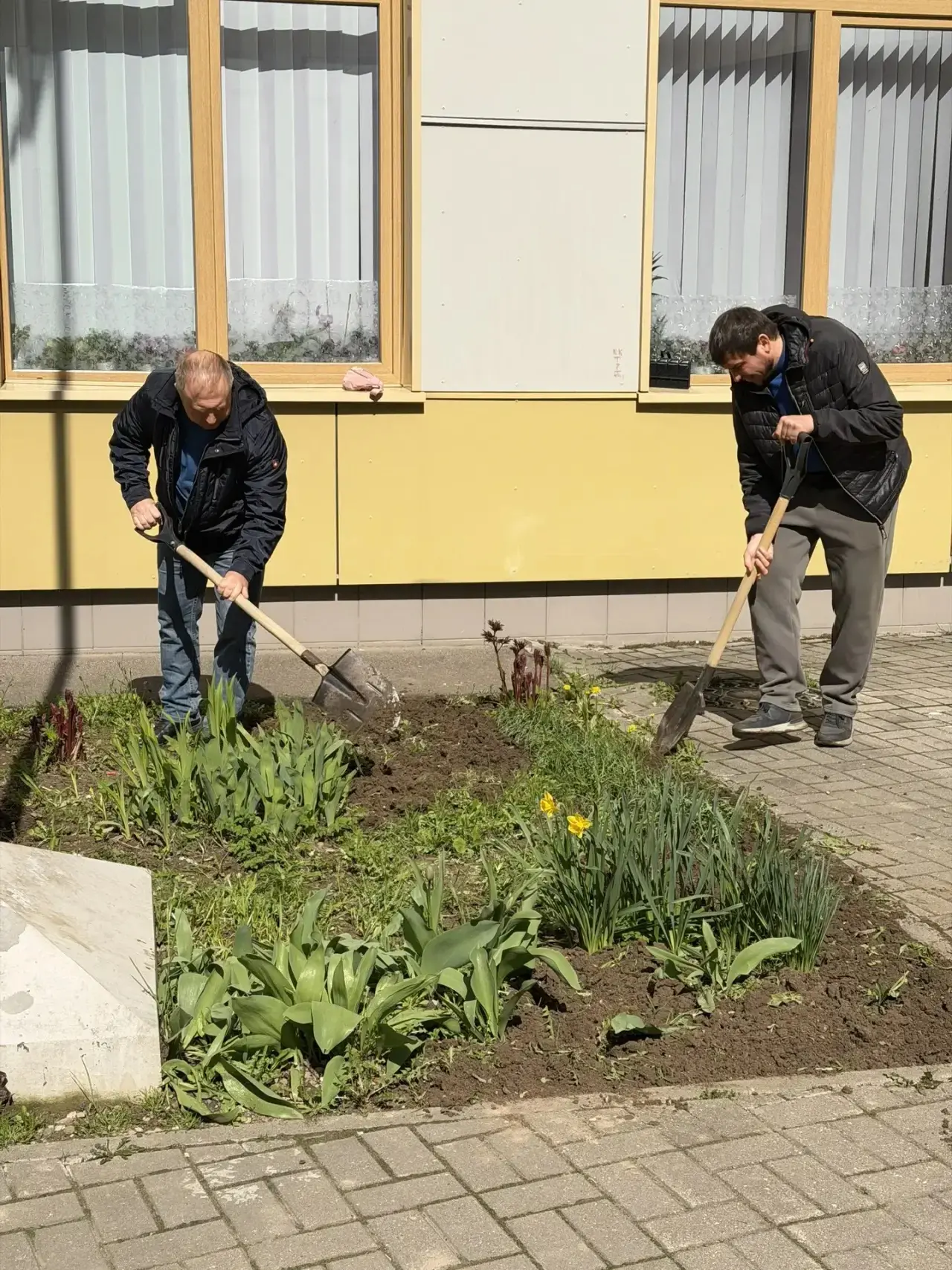 Субботник — добрая традиция и праздник труда!  Сегодня в нашей школе проходит всероссийский субботни