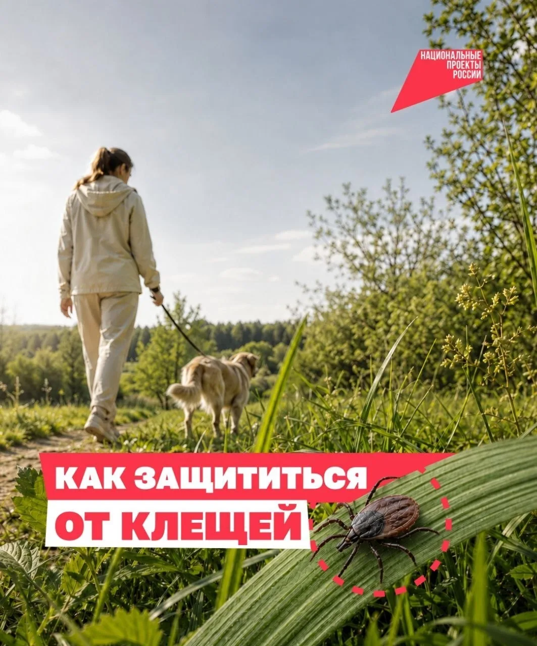 Как защититься от клещей?