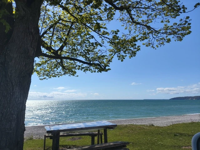 #ГУДАУТА  р-н, речка Белая (вода чистейшая).  🌊 Абхазия  Рядом: дача Сталина, термальный источник, Н