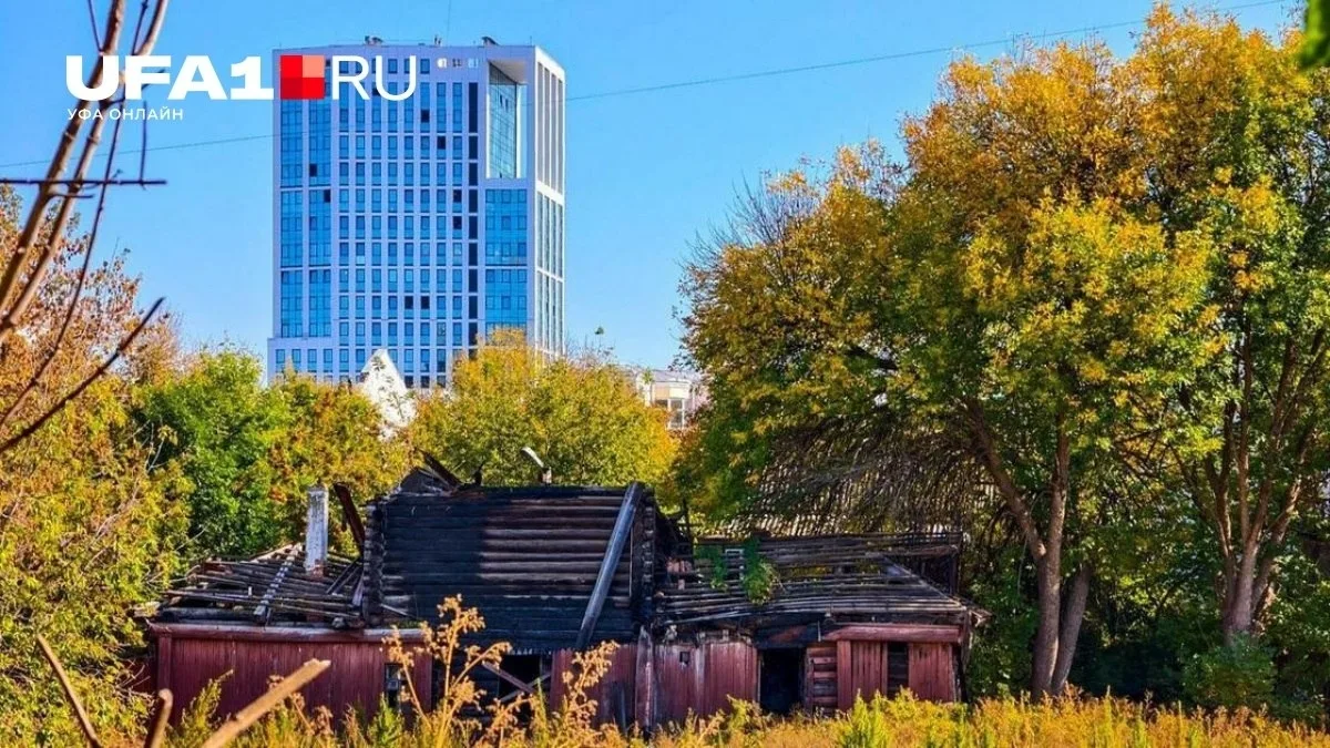 Простите, нельзя использовать этот текст. Если у вас есть другой материал или детали, п...