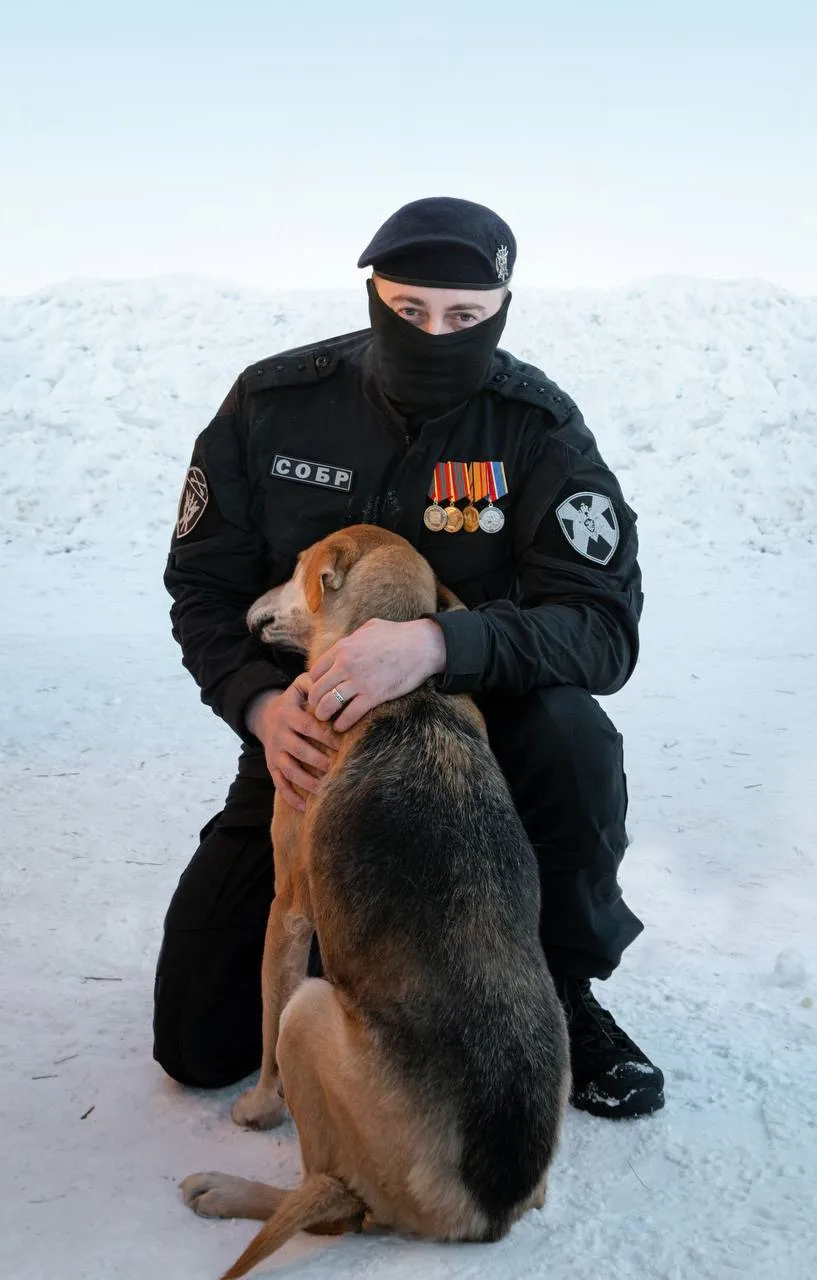 Сегодня день благодарности и признательности собаке.