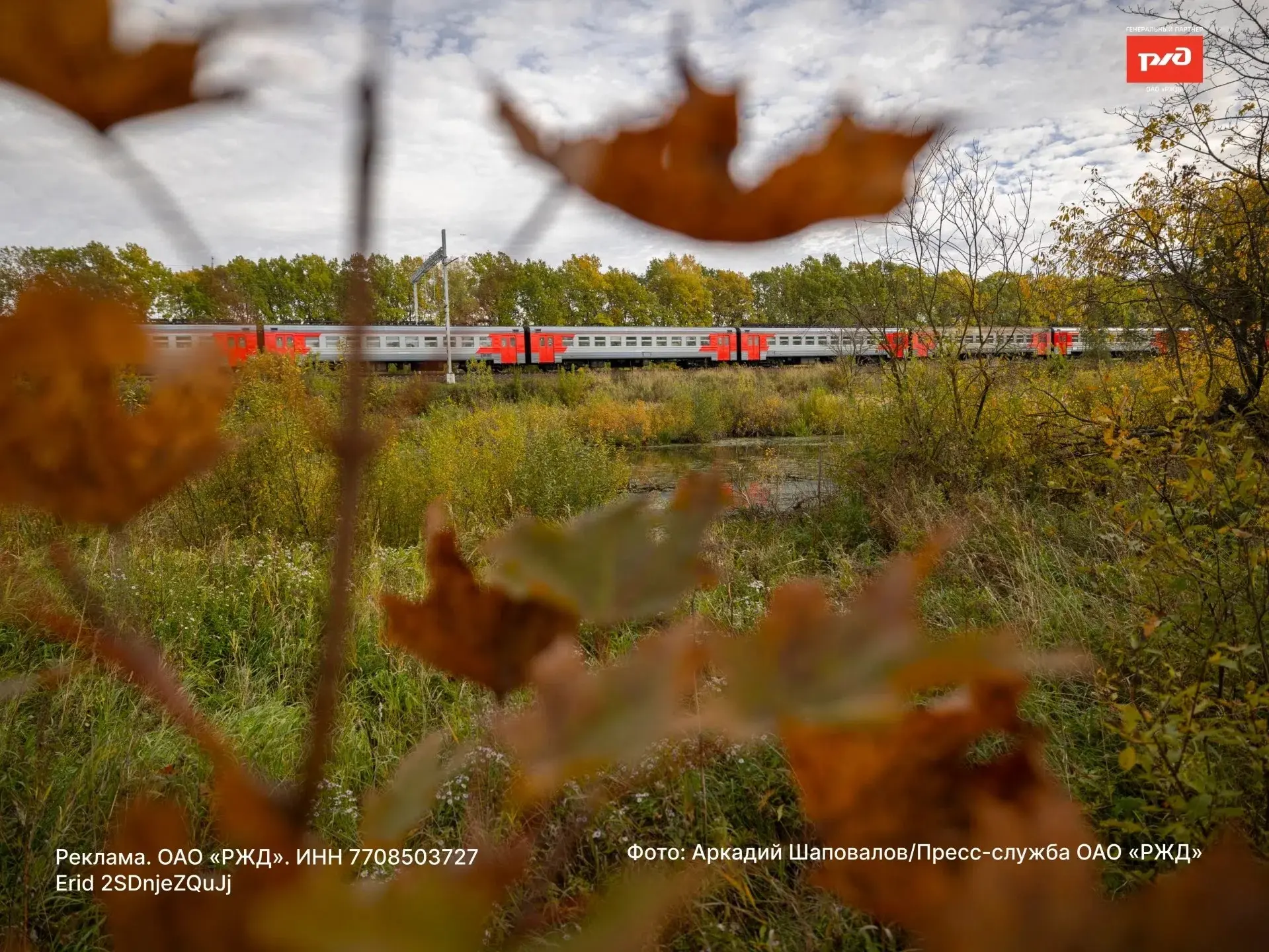🍂 Осень постепенно меняет привычные пейзажи вдоль железной дороги, добавляя им новых к...