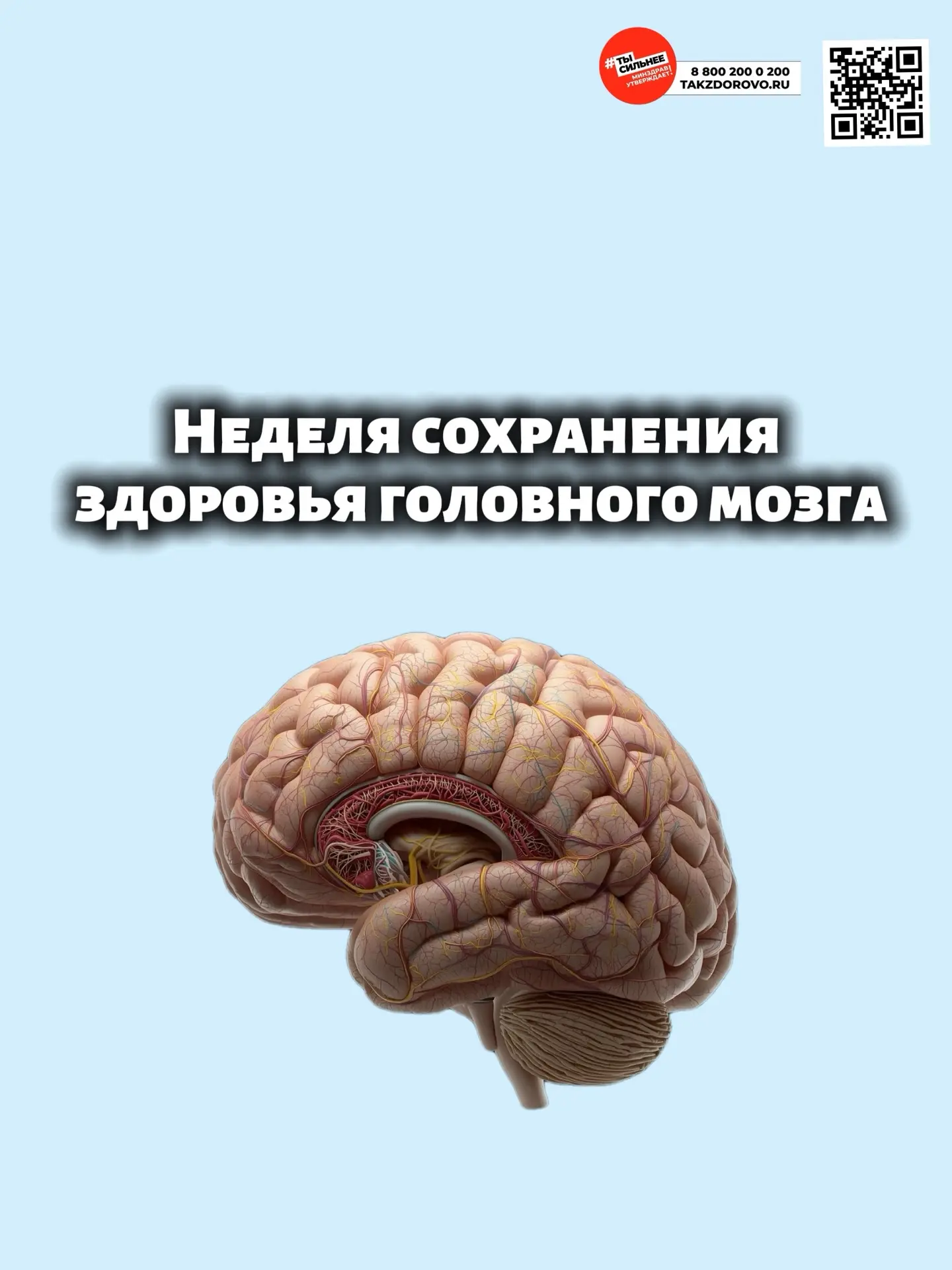 🧠Сохранить здоровье головного мозга  значит поддерживать качество жизни на высоком уро...