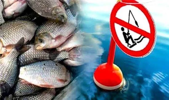 ❌🎣 Давайте дадим рекам Белогорья отдохнуть! 12 июля — День действий против рыбной ловли.

Этот экол