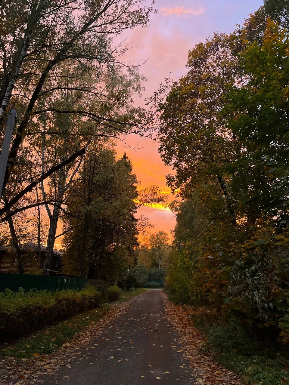 Доброго вечера, друзья!