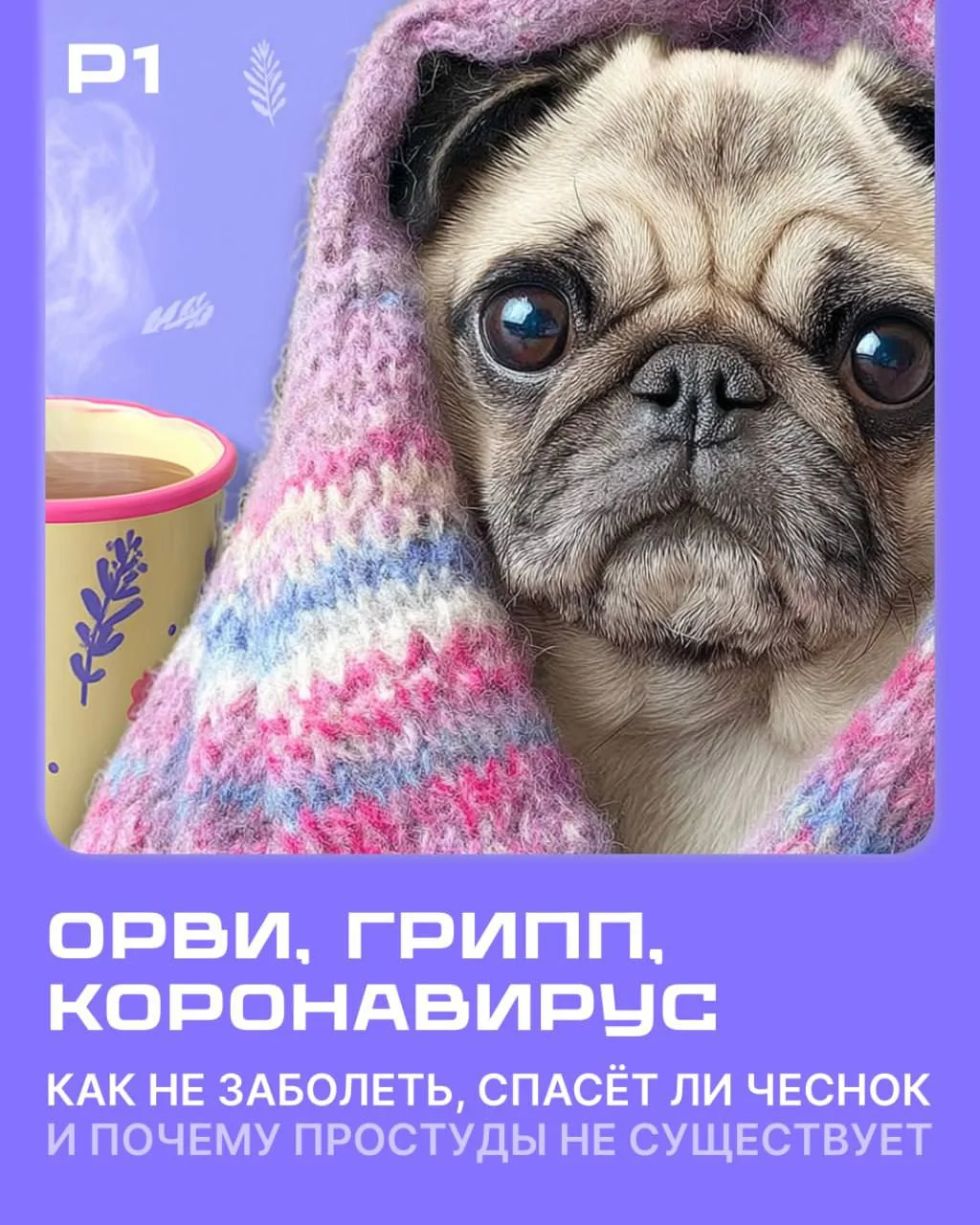 Сейчас циркулируют новые штаммы вирусов гриппа, к которым у россиян нет иммунитета, — э...