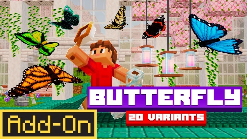 Add-On "BUTTERFLY"