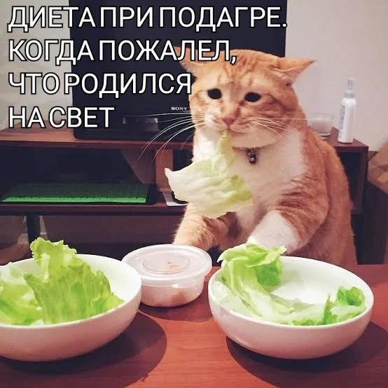Как снизить мочевую кислоту?

П: «Дмитрий Сергеевич, пришла биохимия, а там мочевая кислота в красно