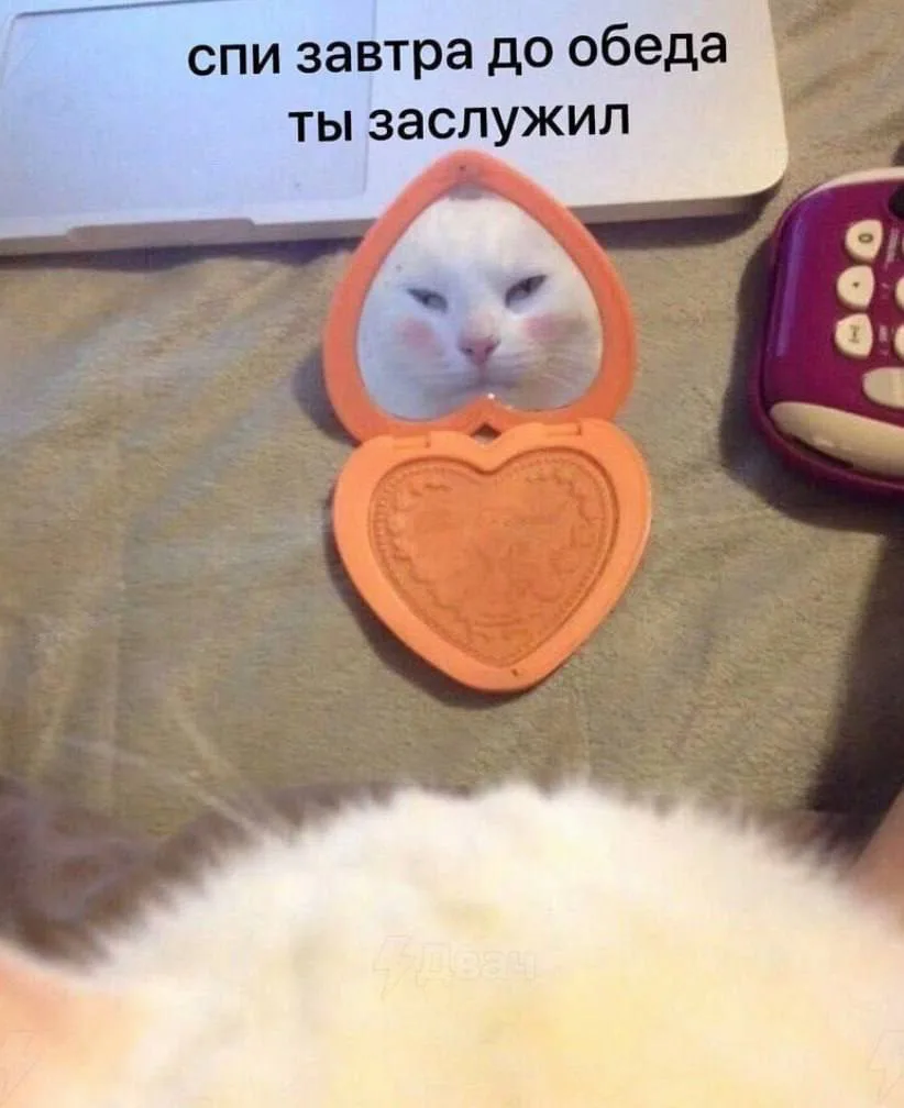 МЕМАСНАЯ