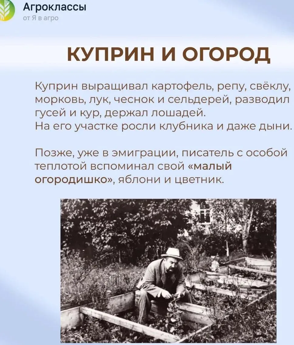 Что почитать этим летом? 📚🌻

Каникулы — время отдыха, но наши ученики АгроКЛАССа не забывают о люб