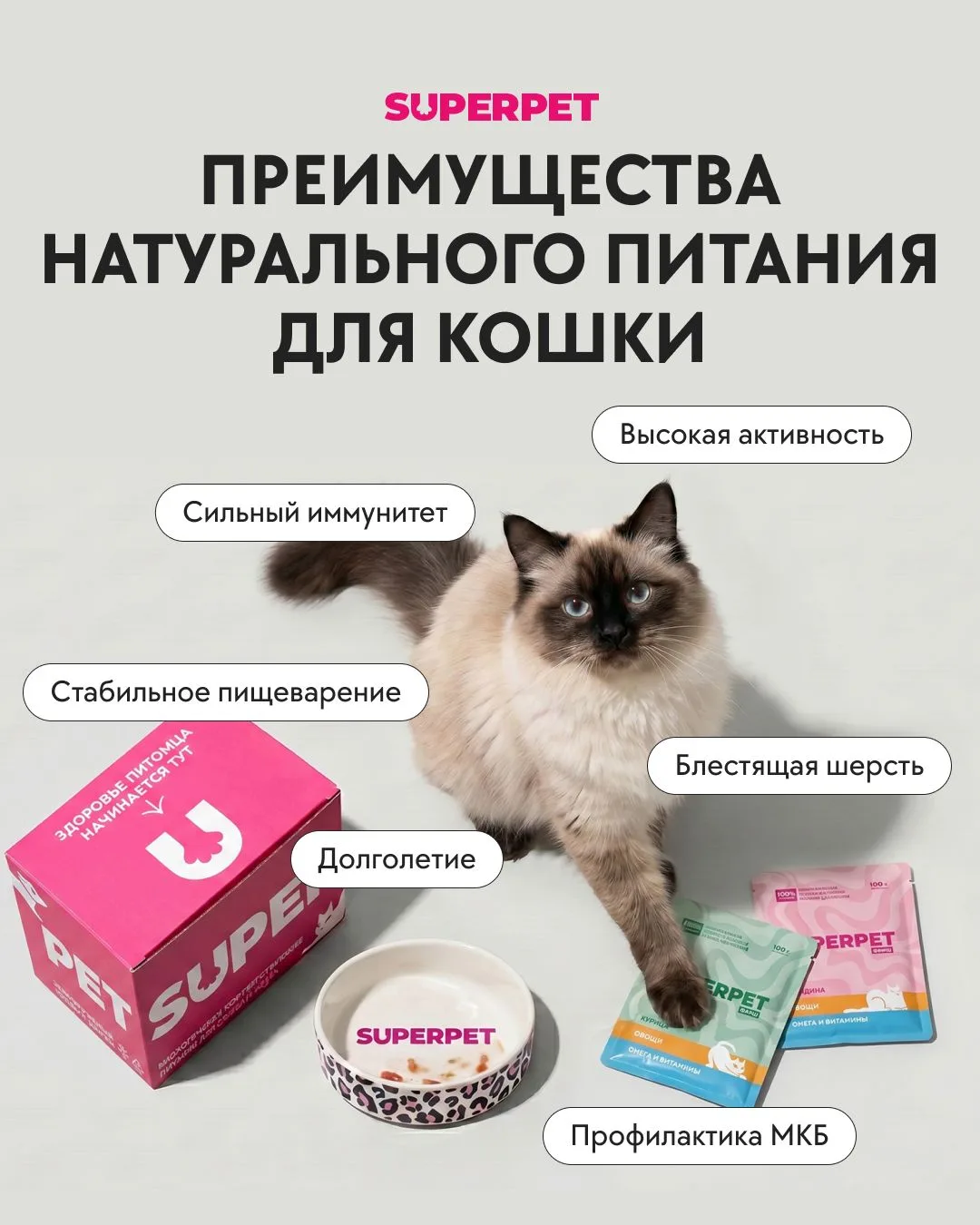 Преимущества натурального питания для кошек