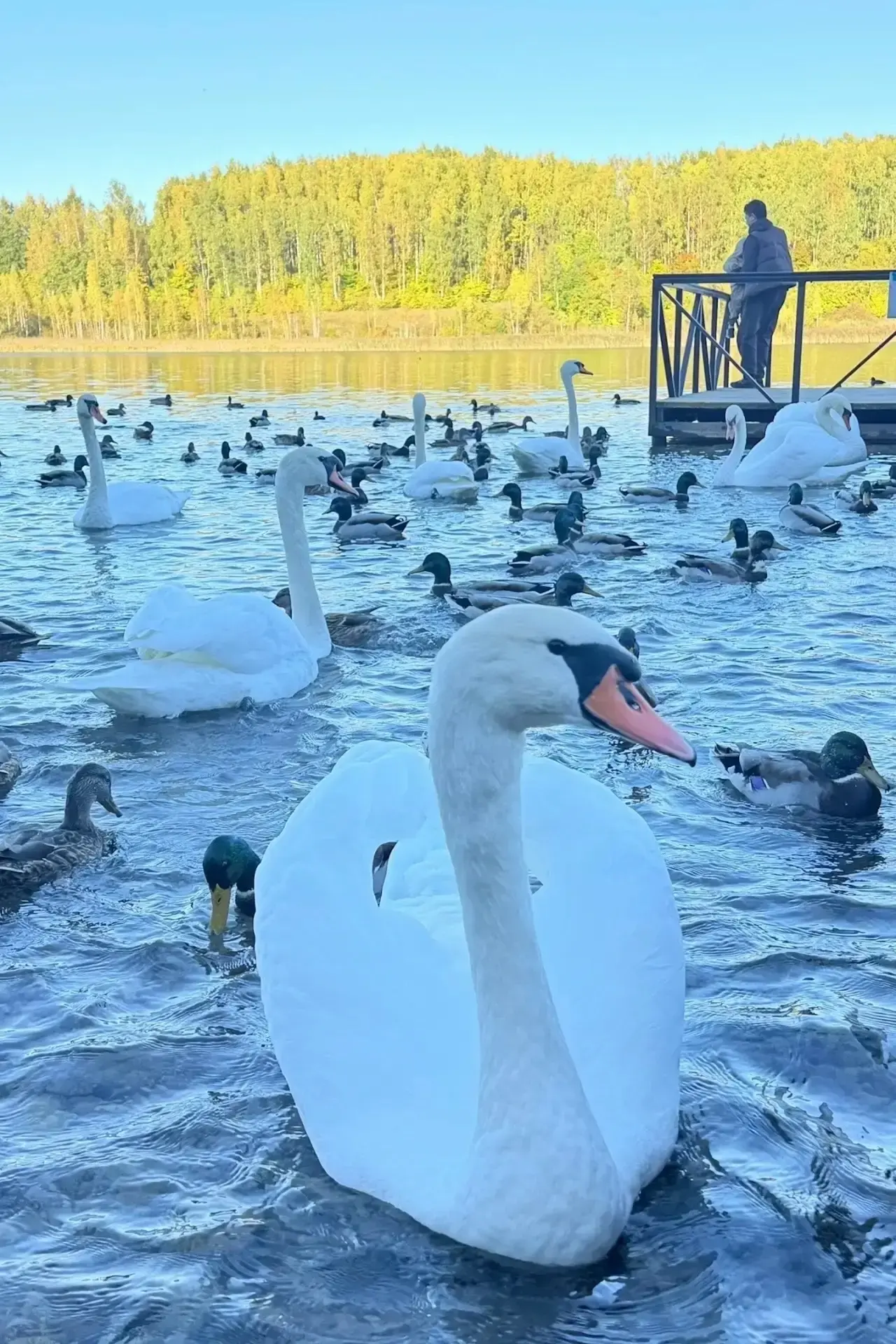 Изборск 😍