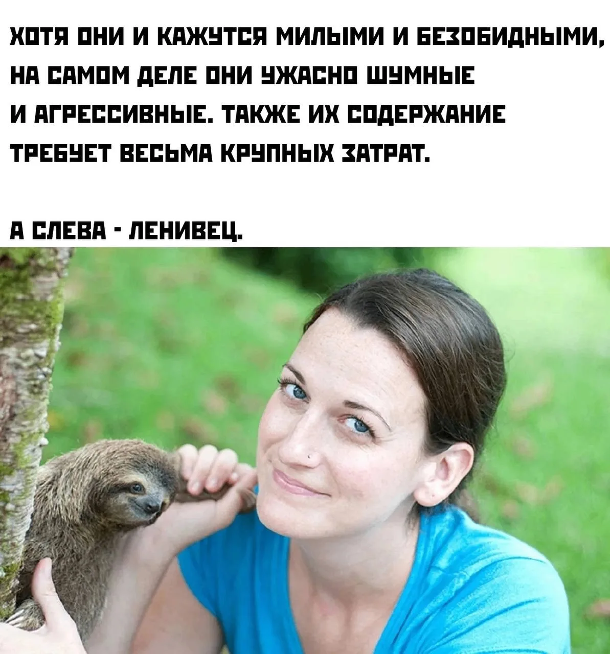 Фото