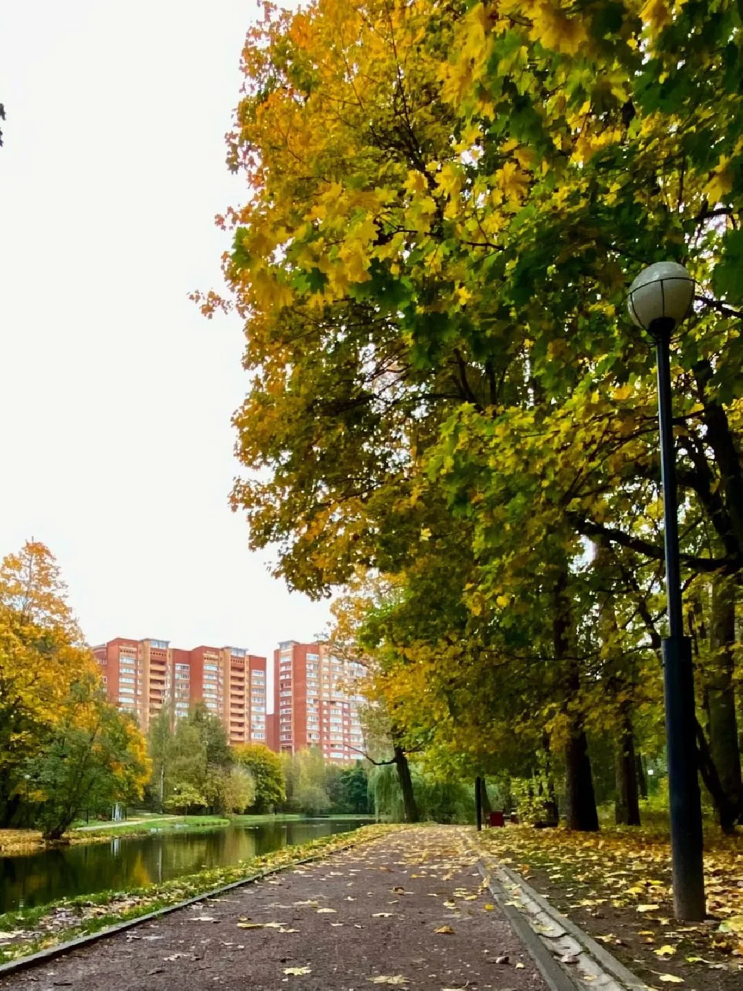 Доброе утро, Красногорск! 🌄