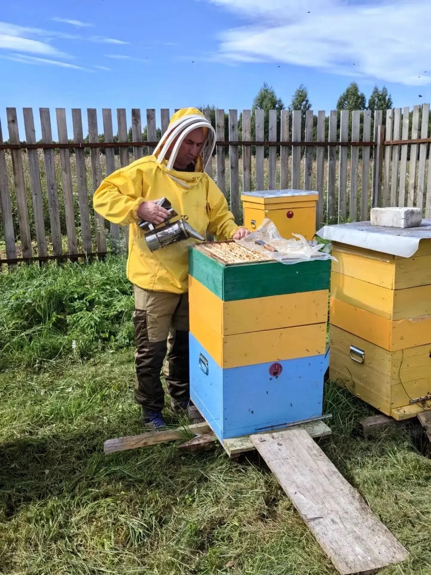 🐝 В Большесельском округе ветеран СВО держит пасеку