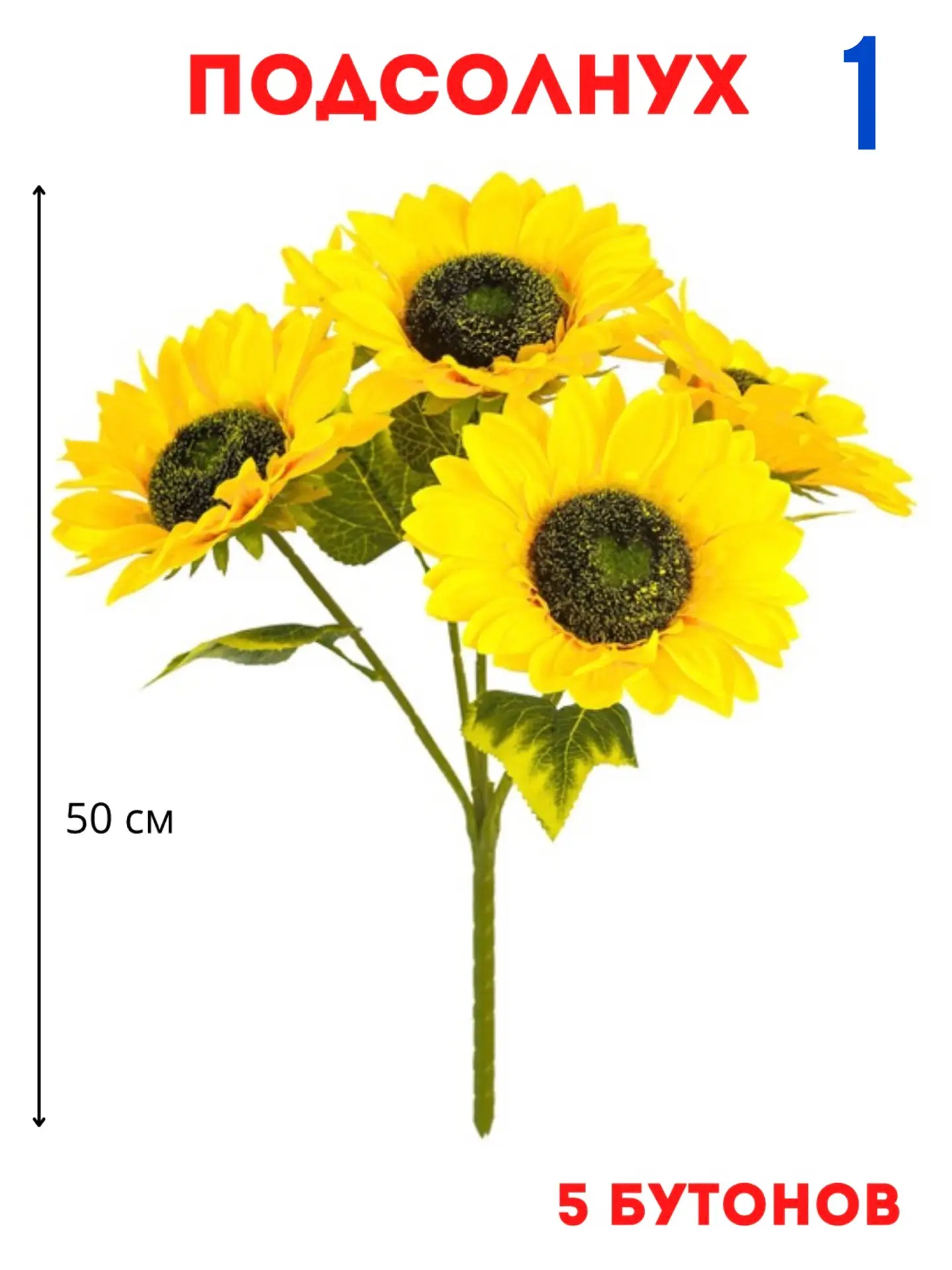 ПОДСОЛНУХ 🌻