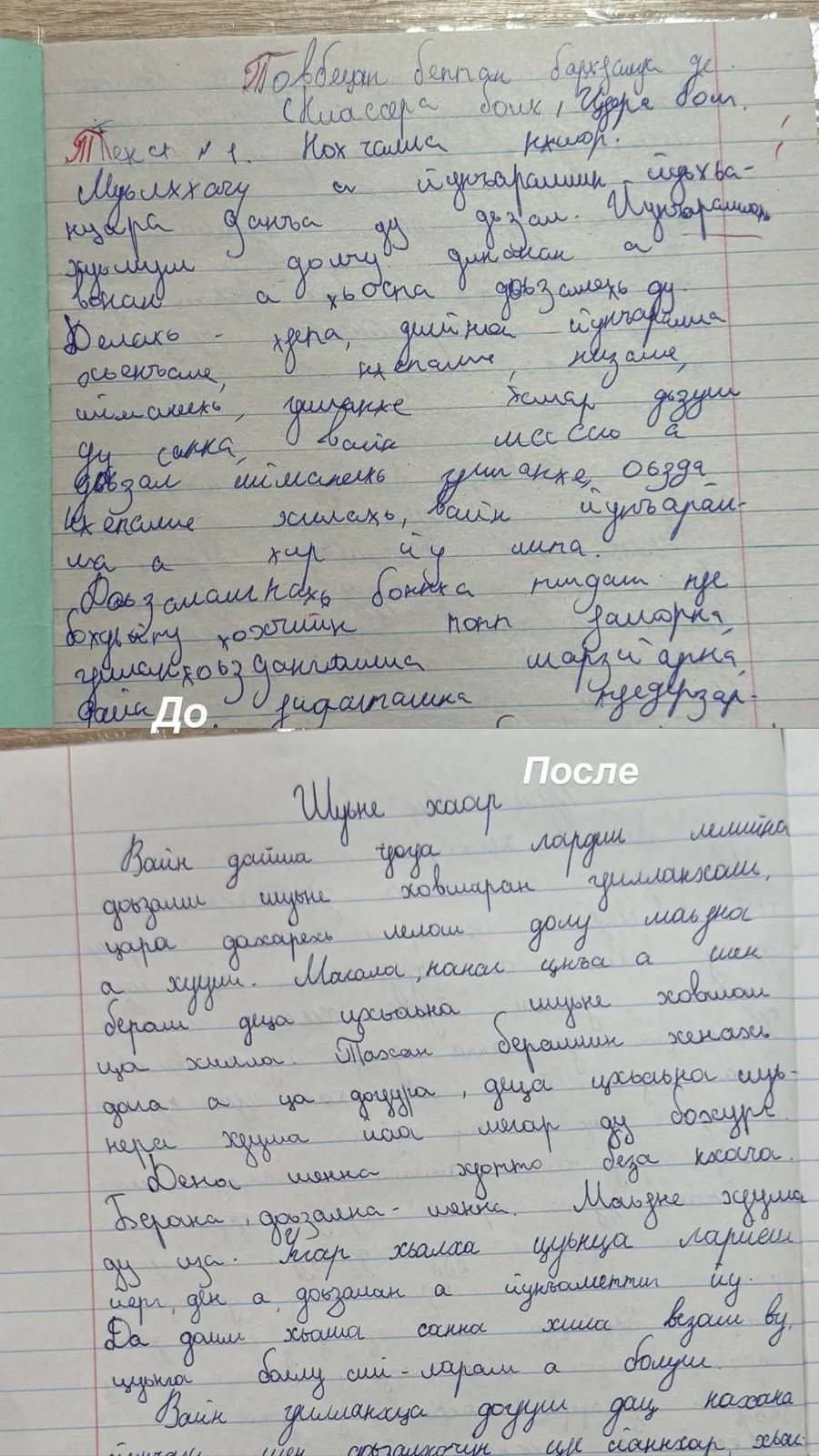 По поручению Министерства образования Чеченской Республики в нашей школе проводится работа по оказан