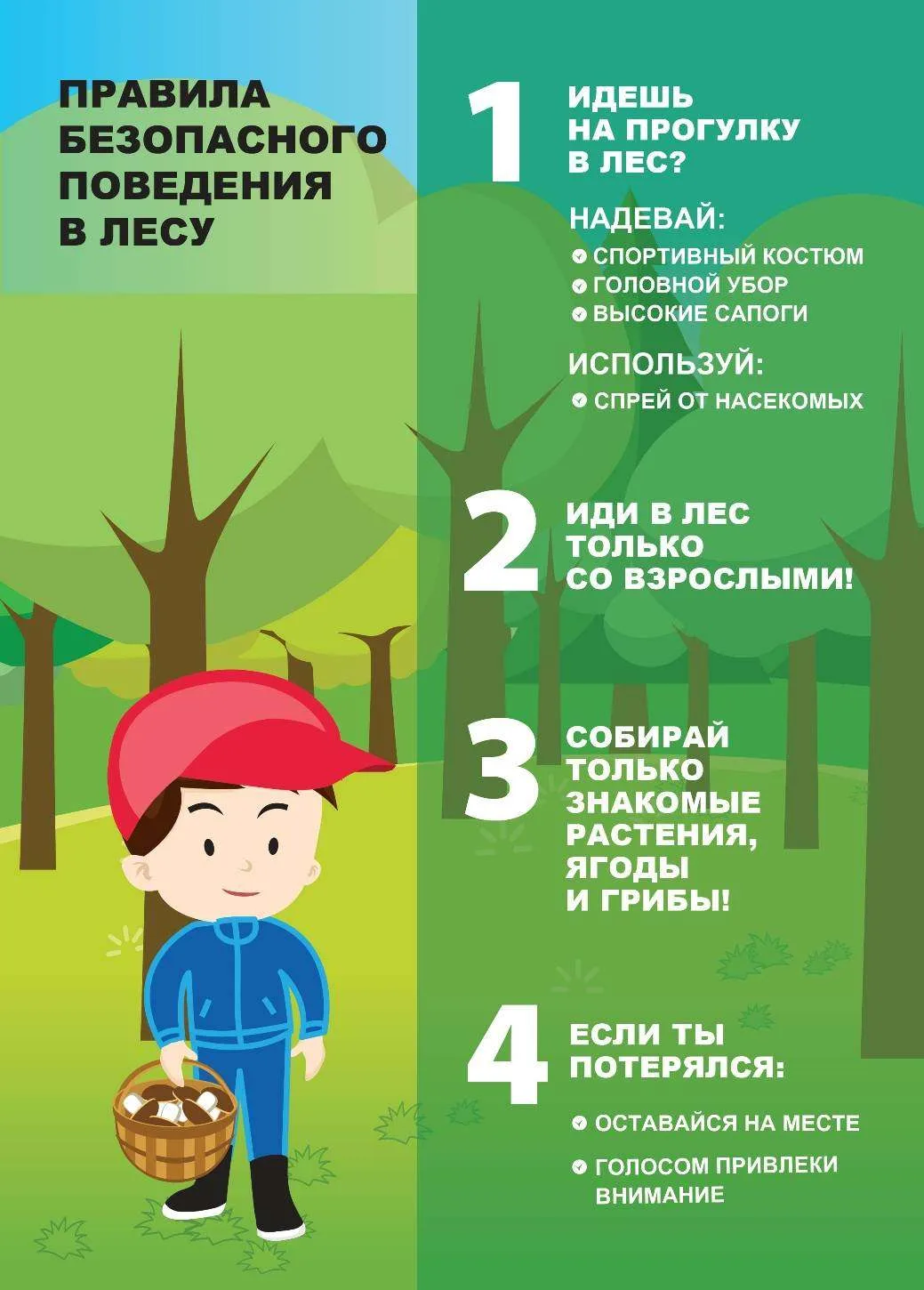 Прогулка в лесу — отличный способ провести время, но чтобы она была безопасной, важно з...