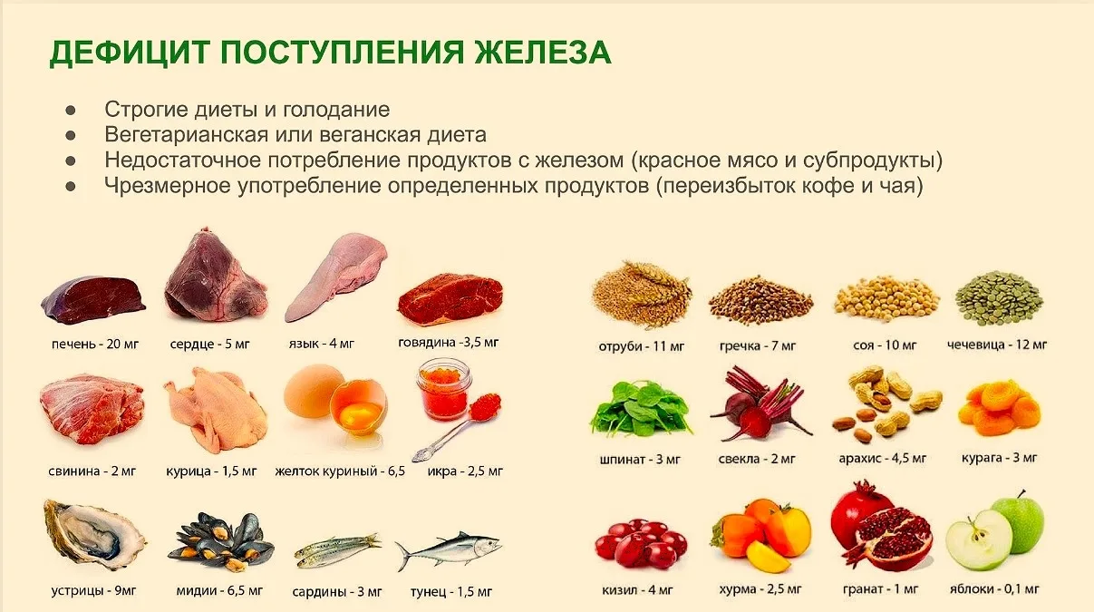 ✅ Откуда дефицит железа и где его искать в продуктах питания.