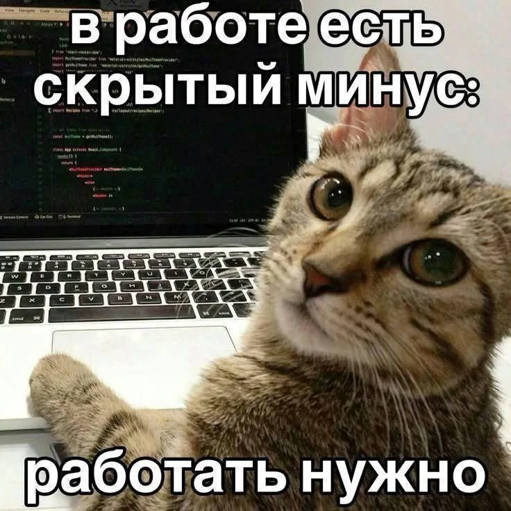 Меня обманули на работе... 💔

Сейчас лето — самое время для подработок. Но чтобы не остаться с пуст