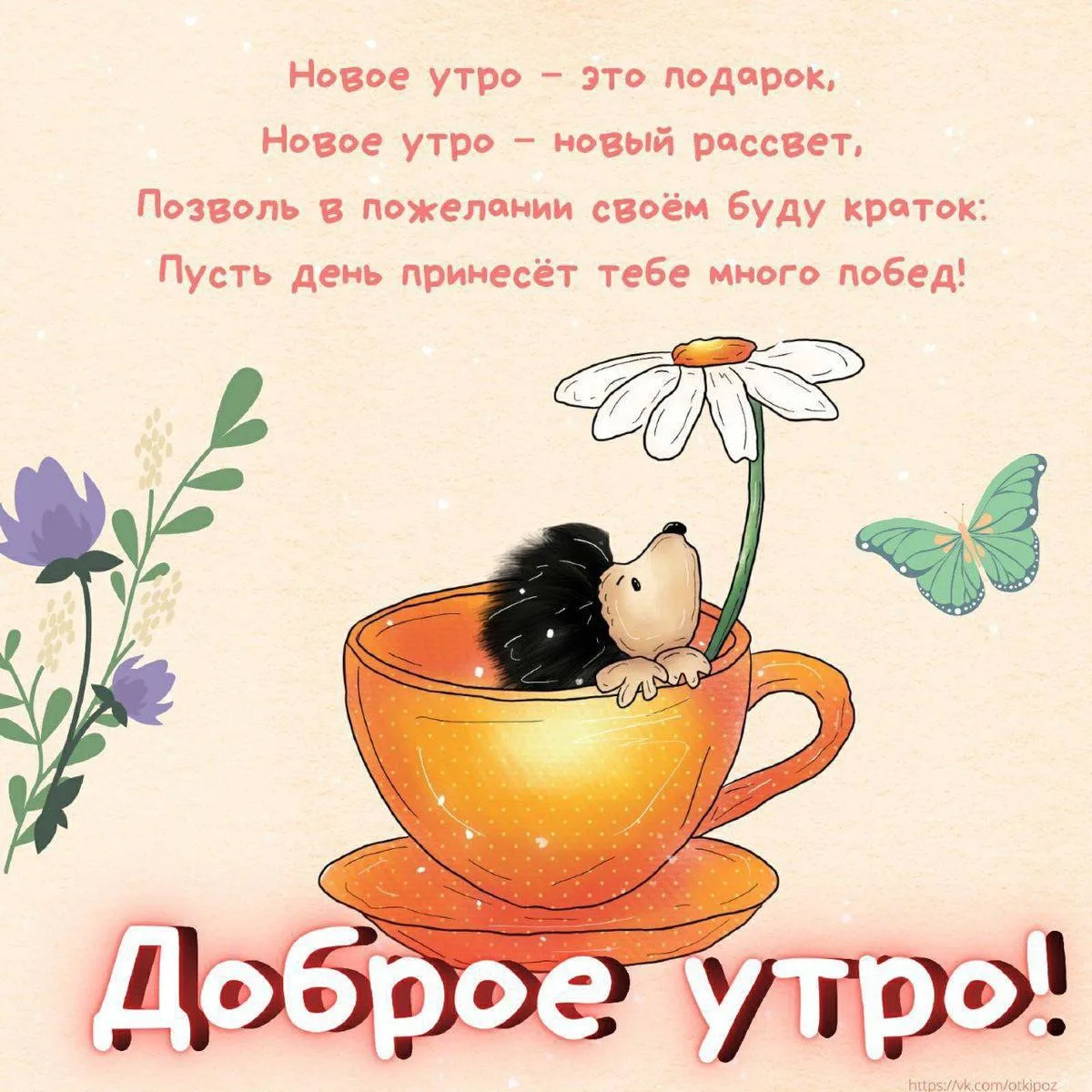 #ДоброеУтро