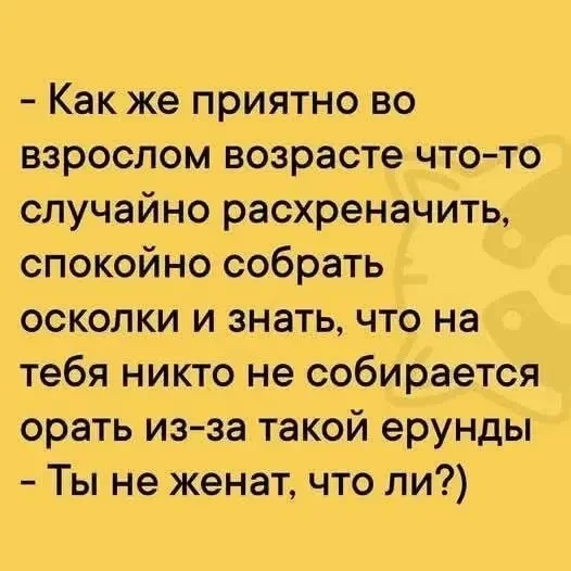 Весёлые анекдоты