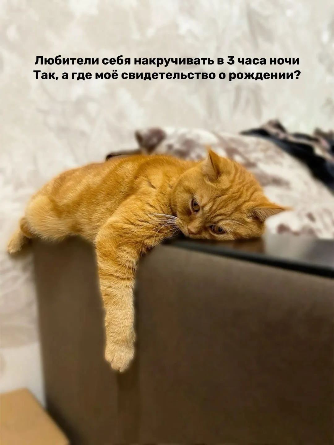 Рубрика:☀ С пятничным утром! 🐱