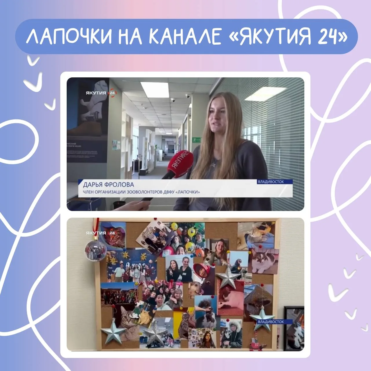 Лапочки «в телевизоре» 🫶