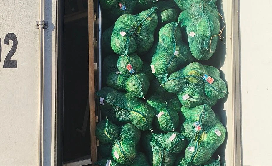 Более 100 тонн подкарантинной продукции в мае не прошли фитосанитарный контроль Россель...