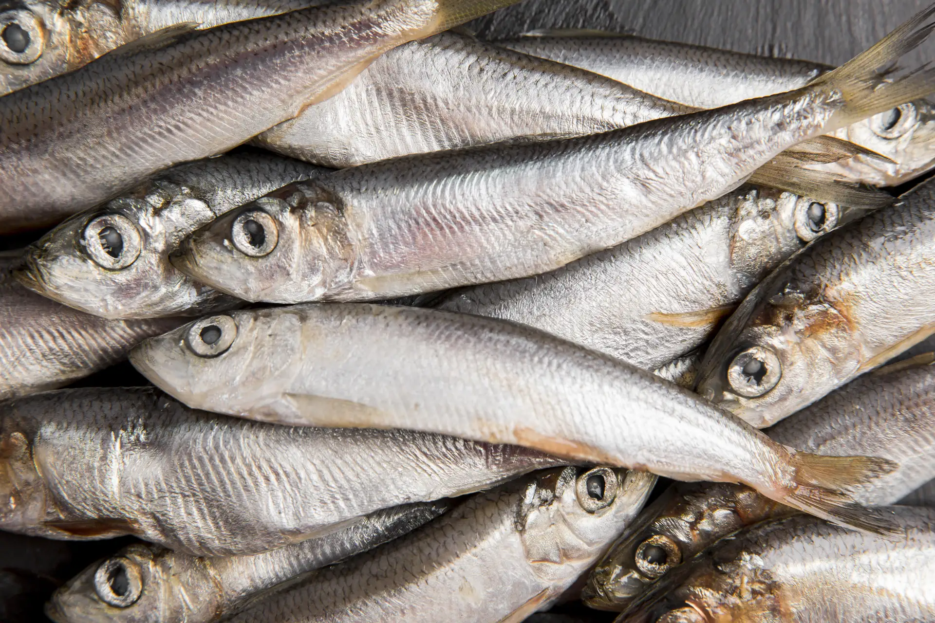🐟 Мойва превращается в анчоусы всего за полчаса